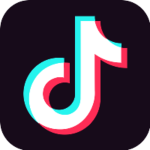 Tik Tok Icon.svg